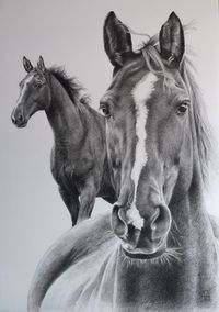 gemaltes Portrait, Bleistift, Pferd