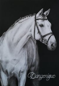 Portrait, Pferd, Kohle, Zeichnung