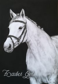 Geschenkidee - Bild Kohle Tierportrait Pferd